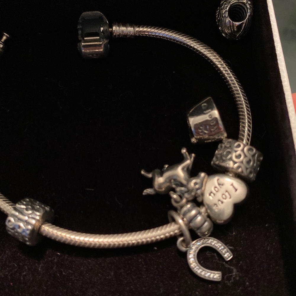 Pandora bracelet with charms. SHIPS OUT TODAY